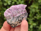 Natural Stichtite Cobbed Specimens x 2,02 Lot From Barberton, South Africa - Toprock Gemstones and Minerals 