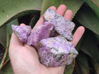 Natural Stichtite Cobbed Specimens x 2,02 Lot From Barberton, South Africa - Toprock Gemstones and Minerals 