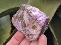 Natural Stichtite Cobbed Specimens x 2,02 Lot From Barberton, South Africa - Toprock Gemstones and Minerals 