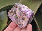 Natural Stichtite Cobbed Specimens x 2,02 Lot From Barberton, South Africa - Toprock Gemstones and Minerals 