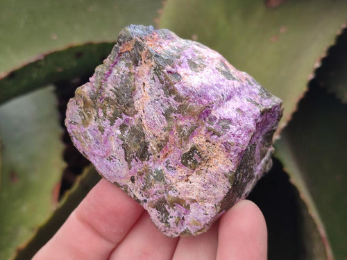 Natural Stichtite Cobbed Specimens x 2,02 Lot From Barberton, South Africa - Toprock Gemstones and Minerals 