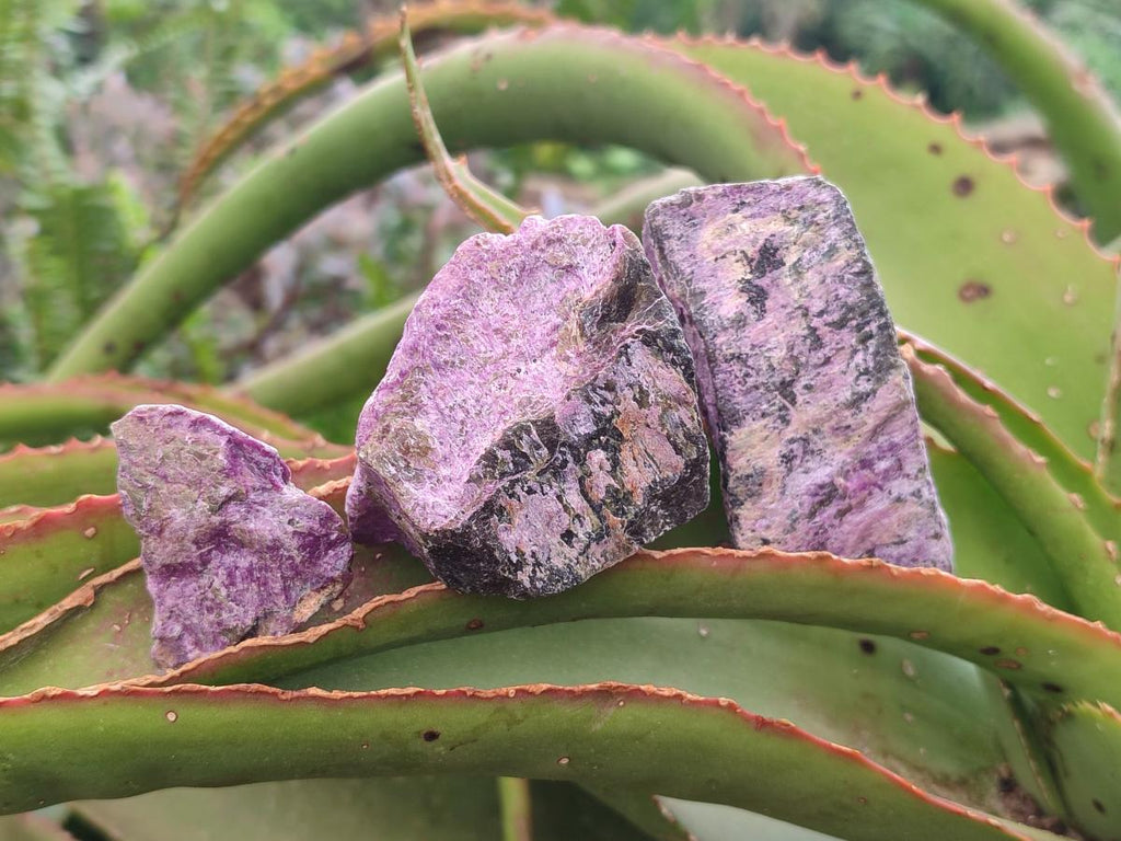 Natural Stichtite Cobbed Specimens x 2,02 Lot From Barberton, South Africa - Toprock Gemstones and Minerals 