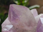 Natural Jacaranda Amethyst Crystal Clusters x 2 From Mumbwa, Zambia - Toprock Gemstones and Minerals 