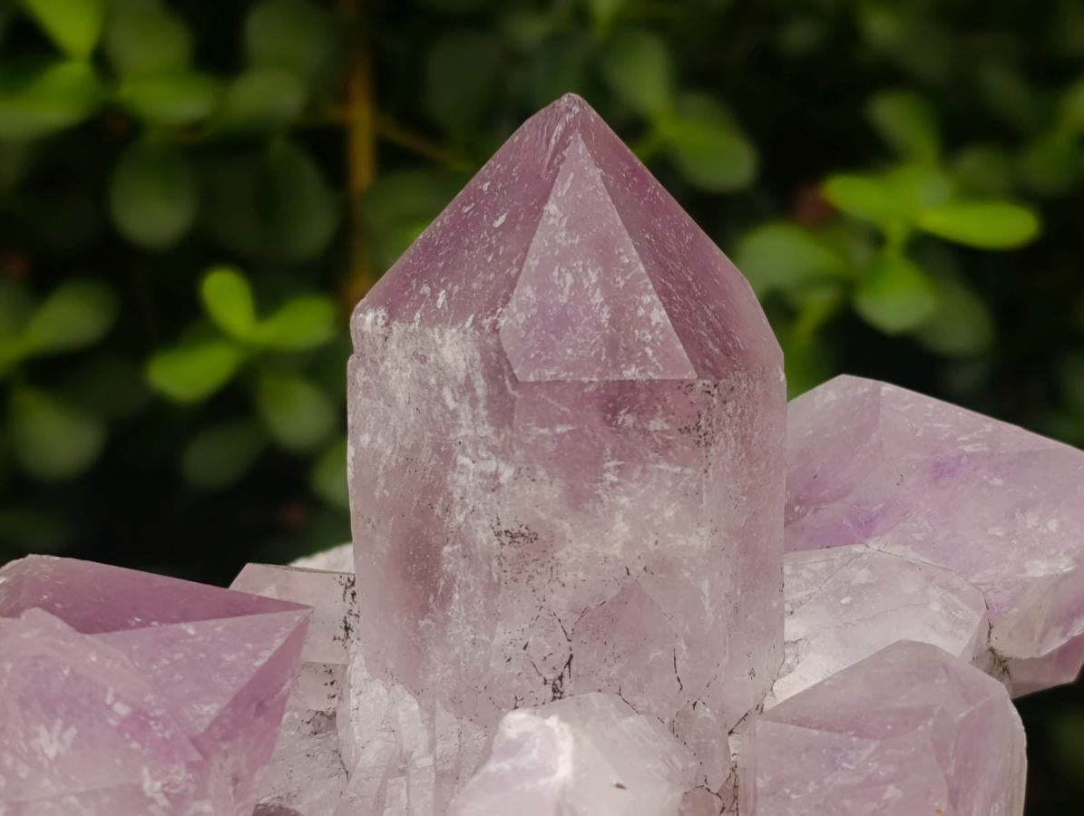 Natural Jacaranda Amethyst Crystal Clusters x 2 From Mumbwa, Zambia - Toprock Gemstones and Minerals 