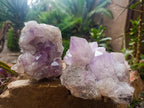 Natural Jacaranda Amethyst Crystal Clusters x 2 From Mumbwa, Zambia - Toprock Gemstones and Minerals 