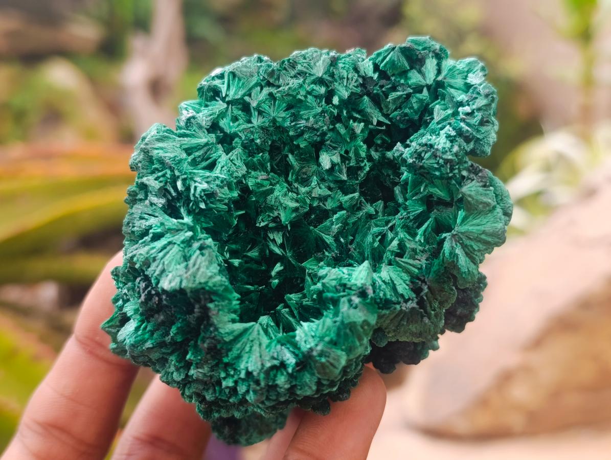 Natural Silky Malachite Specimens x 4 From Kasompe, Congo - Toprock Gemstones and Minerals 
