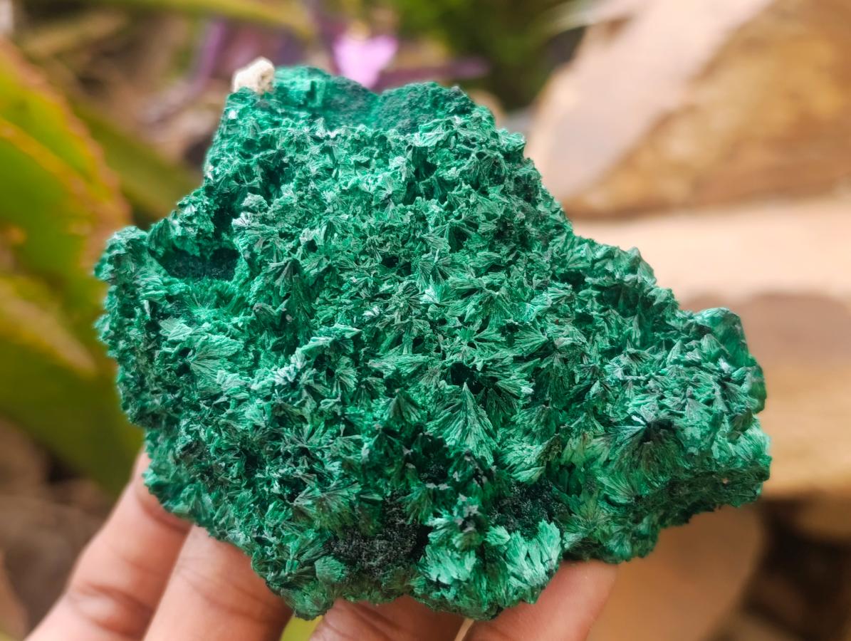 Natural Silky Malachite Specimens x 4 From Kasompe, Congo - Toprock Gemstones and Minerals 