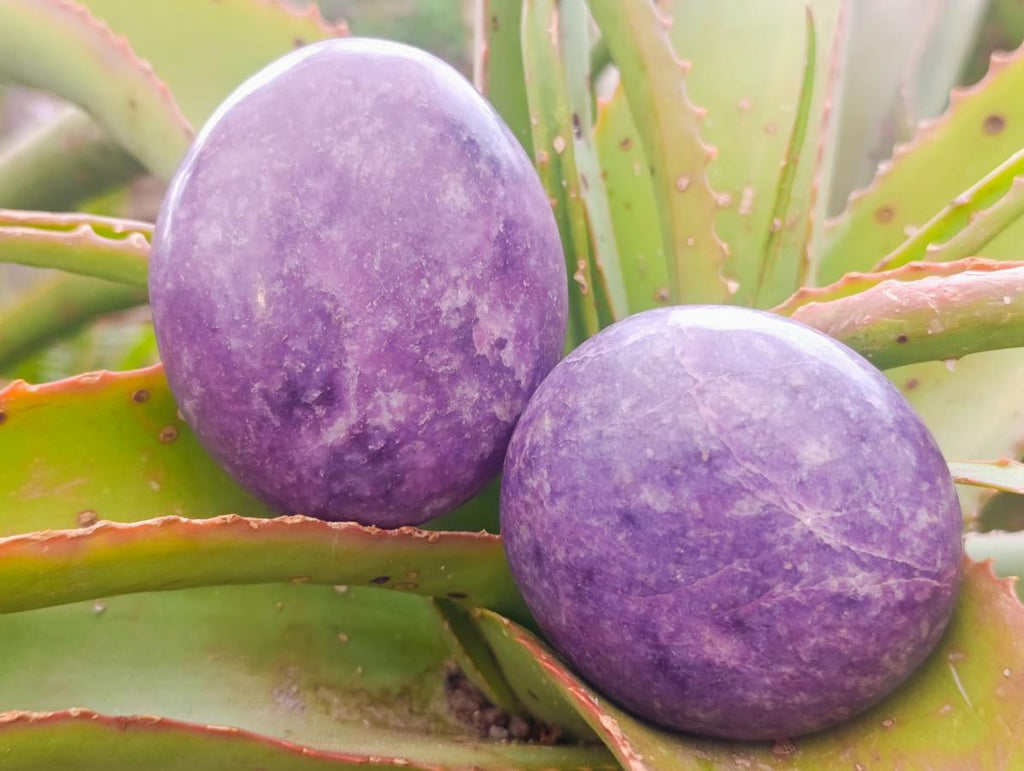 Polished Large Lepidolite Free Forms x 6 From Zimbabwe - Toprock Gemstones and Minerals 