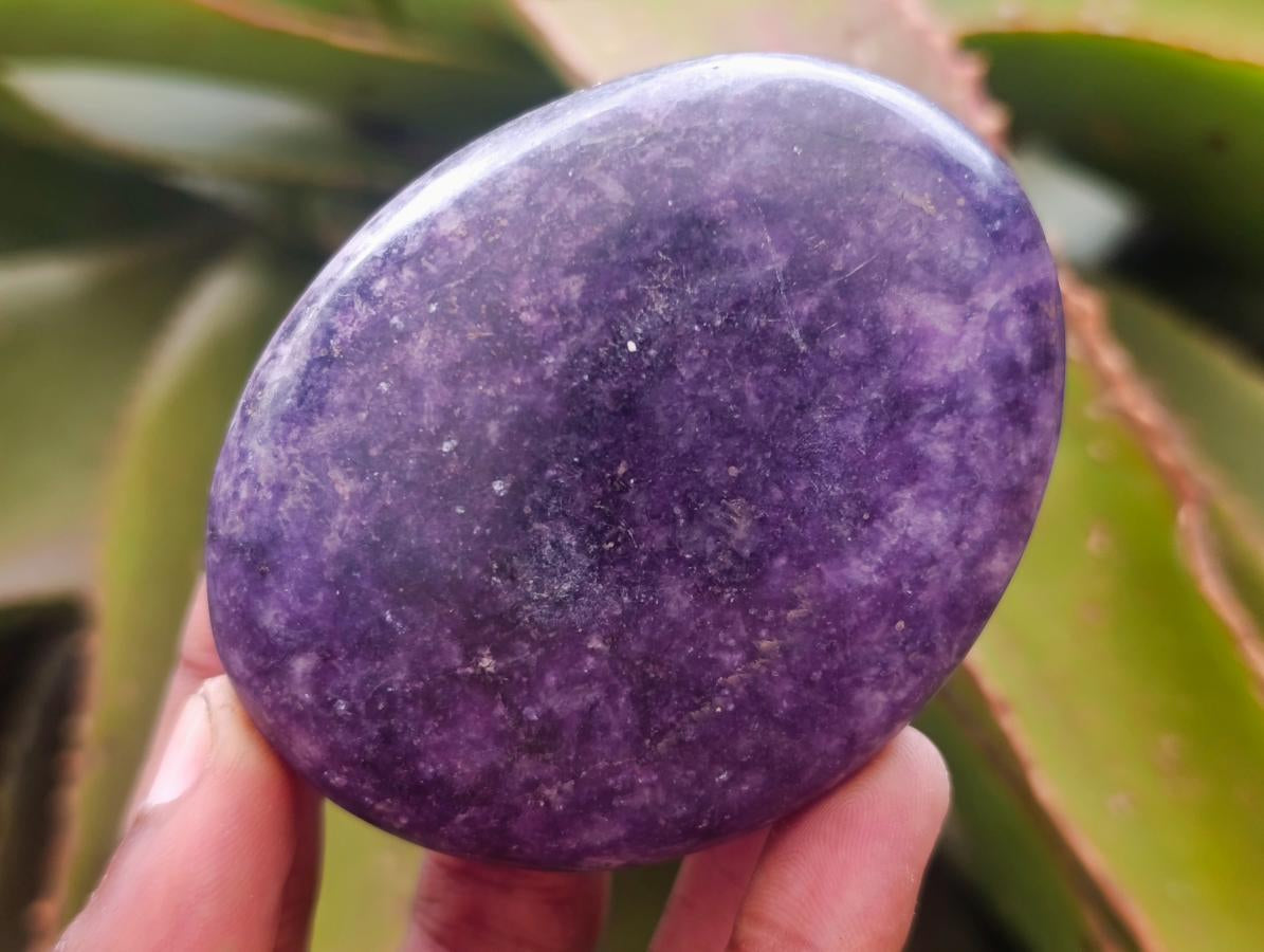 Polished Large Lepidolite Free Forms x 6 From Zimbabwe - Toprock Gemstones and Minerals 