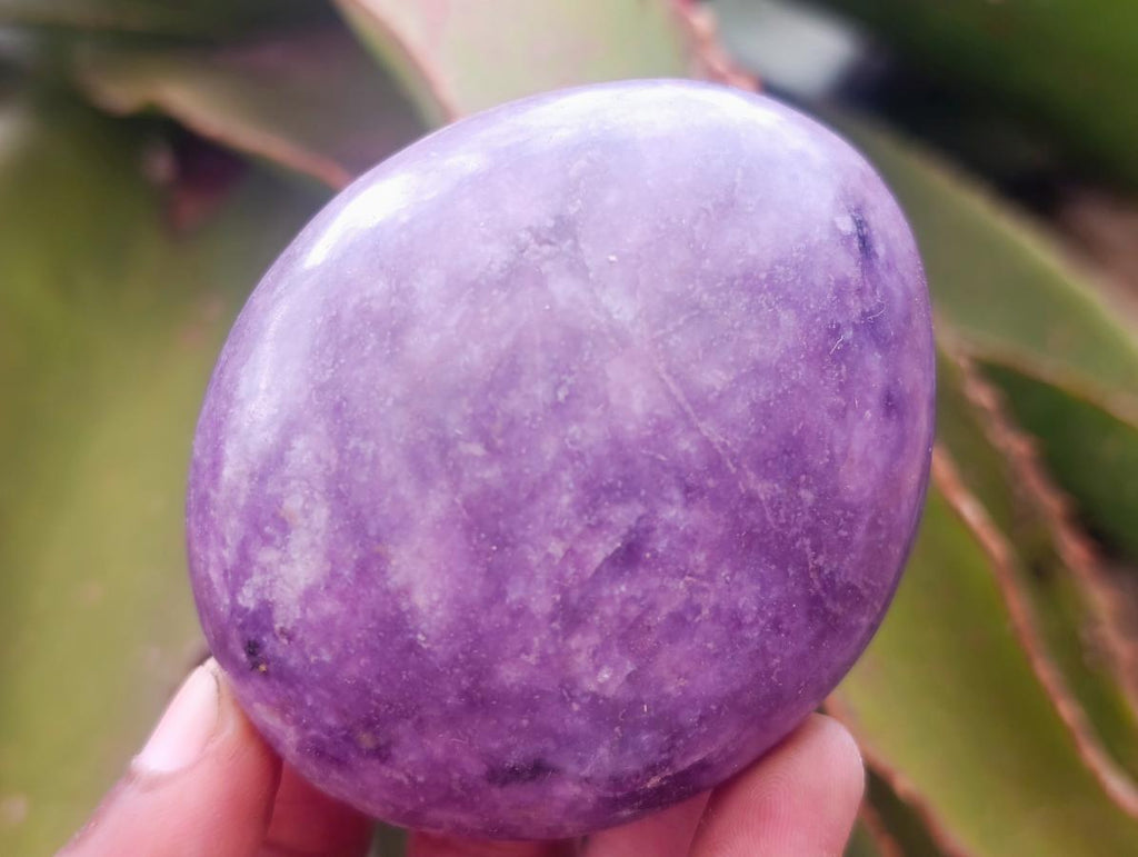 Polished Large Lepidolite Free Forms x 6 From Zimbabwe - Toprock Gemstones and Minerals 