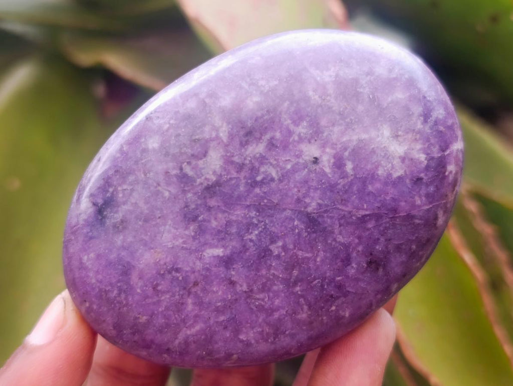 Polished Large Lepidolite Free Forms x 6 From Zimbabwe - Toprock Gemstones and Minerals 