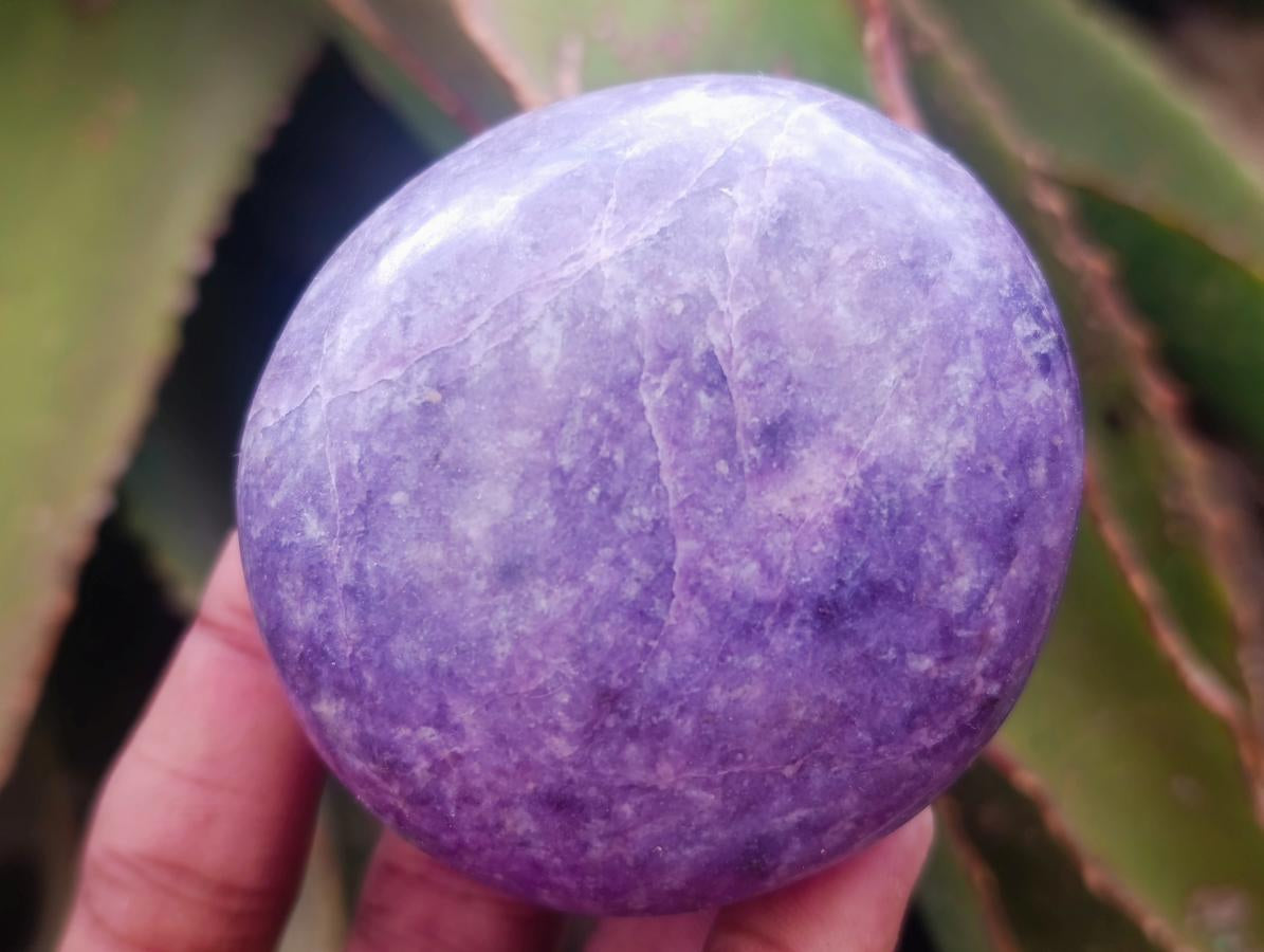 Polished Large Lepidolite Free Forms x 6 From Zimbabwe - Toprock Gemstones and Minerals 