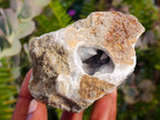 Natural Blue Lace Agate Geode Specimens x 12 From Nsanje, Malawi - Toprock Gemstones and Minerals 