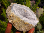 Natural Blue Lace Agate Geode Specimens x 12 From Nsanje, Malawi - Toprock Gemstones and Minerals 