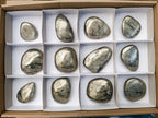 Polished Basalt Pharaoh Stone Free Forms x 12 From Iron Duke Mine, Zimbabwe - Toprock Gemstones and Minerals 