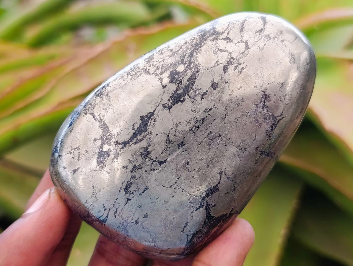 Polished Basalt Pharaoh Stone Free Forms x 12 From Iron Duke Mine, Zimbabwe - Toprock Gemstones and Minerals 