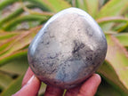 Polished Basalt Pharaoh Stone Free Forms x 12 From Iron Duke Mine, Zimbabwe - Toprock Gemstones and Minerals 