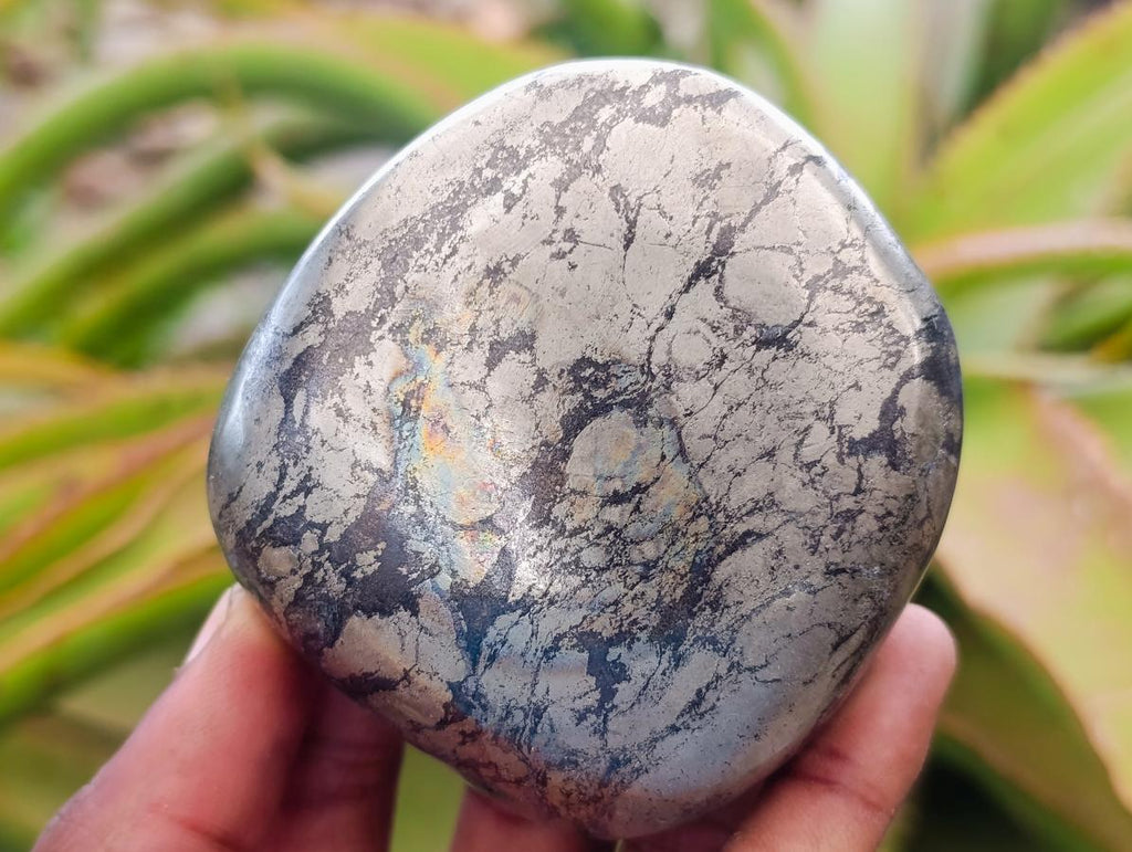 Polished Basalt Pharaoh Stone Free Forms x 12 From Iron Duke Mine, Zimbabwe - Toprock Gemstones and Minerals 