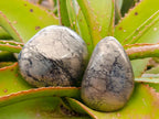 Polished Basalt Pharaoh Stone Free Forms x 12 From Iron Duke Mine, Zimbabwe - Toprock Gemstones and Minerals 