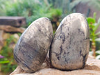 Polished Basalt Pharaoh Stone Free Forms x 12 From Iron Duke Mine, Zimbabwe - Toprock Gemstones and Minerals 