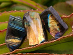 Polished One Side Labradorite Plates x 70 From Madagascar - Toprock Gemstones and Minerals 