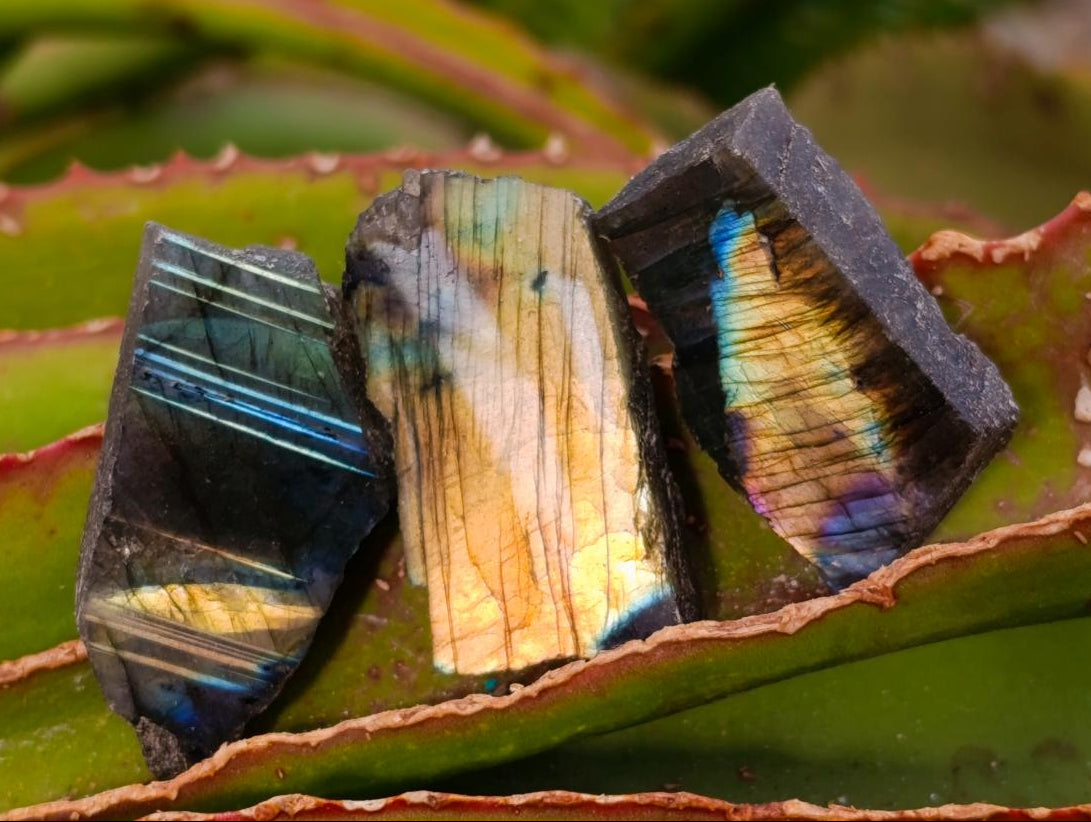 Polished One Side Labradorite Plates x 70 From Madagascar - Toprock Gemstones and Minerals 