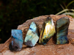 Polished One Side Labradorite Plates x 70 From Madagascar - Toprock Gemstones and Minerals 