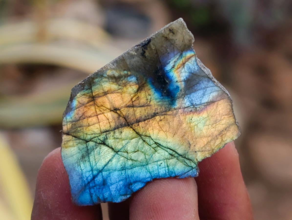 Polished One Side Labradorite Plates x 70 From Madagascar - Toprock Gemstones and Minerals 
