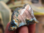 Polished One Side Labradorite Plates x 70 From Madagascar - Toprock Gemstones and Minerals 
