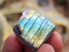 Polished One Side Labradorite Plates x 70 From Madagascar - Toprock Gemstones and Minerals 