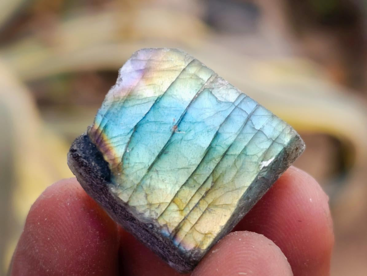 Polished One Side Labradorite Plates x 70 From Madagascar - Toprock Gemstones and Minerals 