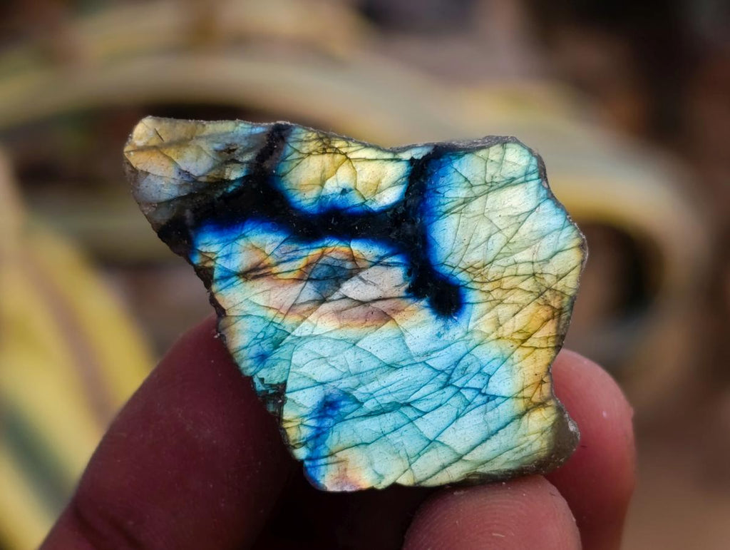 Polished One Side Labradorite Plates x 70 From Madagascar - Toprock Gemstones and Minerals 