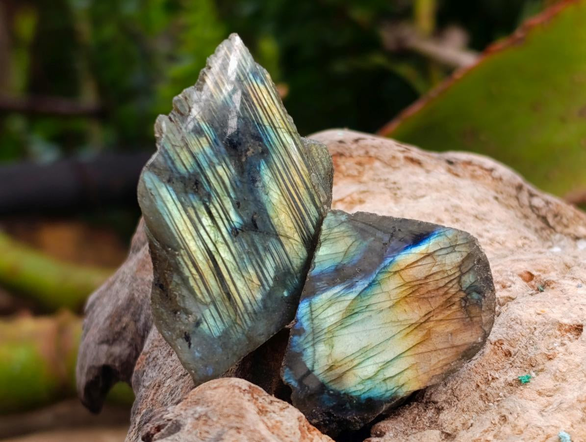 Polished One Side Labradorite Plates x 70 From Madagascar - Toprock Gemstones and Minerals 