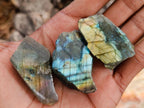 Polished One Side Labradorite Plates x 70 From Madagascar - Toprock Gemstones and Minerals 