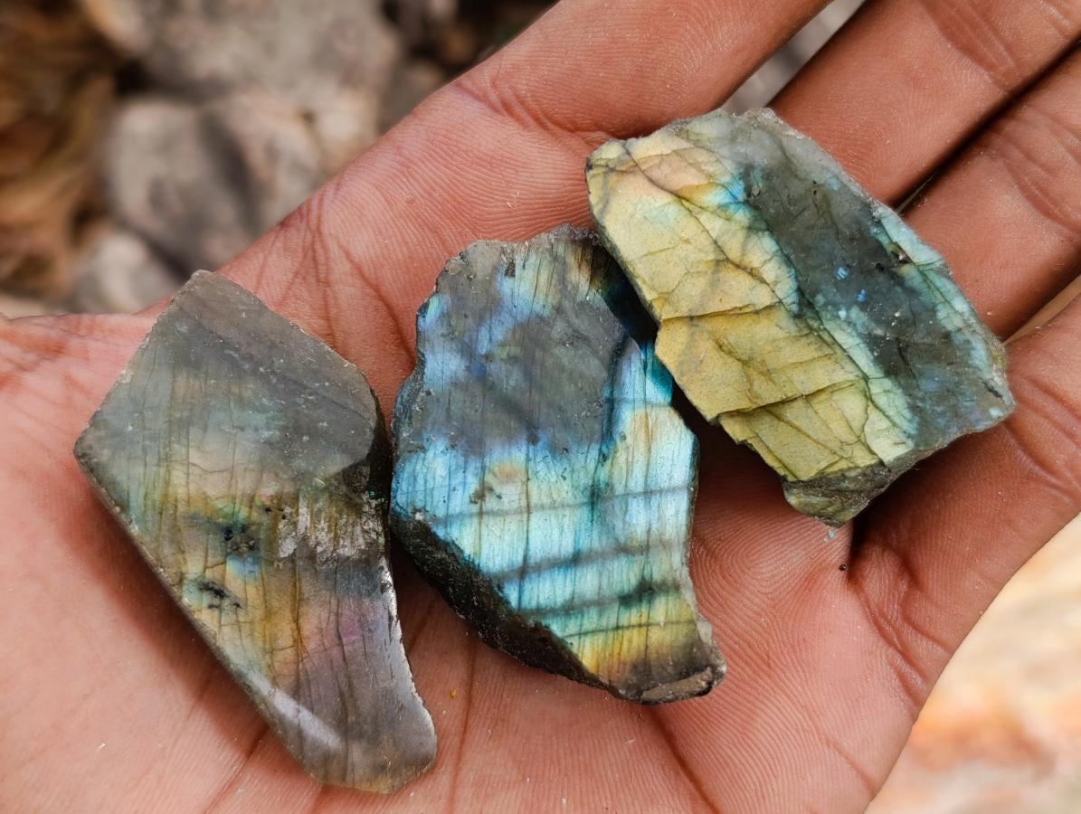 Polished One Side Labradorite Plates x 70 From Madagascar - Toprock Gemstones and Minerals 