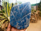 Polished Blue Spotted Spinel in Quartz Standing Leaf Sculptures x 2 From Madagascar - Toprock Gemstones and Minerals 