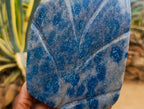 Polished Blue Spotted Spinel in Quartz Standing Leaf Sculptures x 2 From Madagascar - Toprock Gemstones and Minerals 