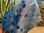 Polished Blue Spotted Spinel in Quartz Standing Leaf Sculptures x 2 From Madagascar - Toprock Gemstones and Minerals 
