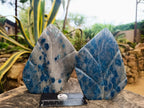 Polished Blue Spotted Spinel in Quartz Standing Leaf Sculptures x 2 From Madagascar - Toprock Gemstones and Minerals 