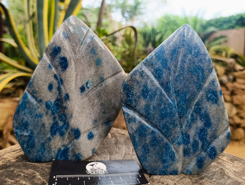 Polished Blue Spotted Spinel in Quartz Standing Leaf Sculptures x 2 From Madagascar - Toprock Gemstones and Minerals 