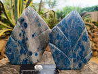 Polished Blue Spotted Spinel in Quartz Standing Leaf Sculptures x 2 From Madagascar - Toprock Gemstones and Minerals 