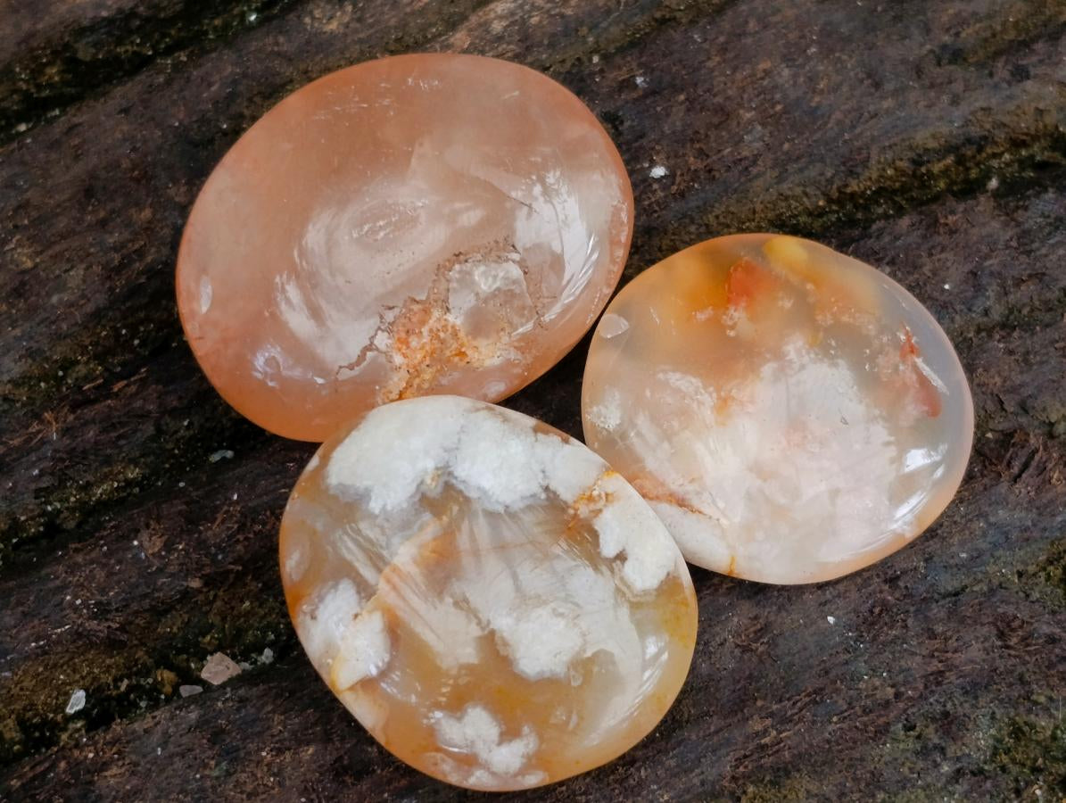 Polished Mini Wire Wrap Flower Agate Free Forms x 35 From Antsahalova, Madagascar - Toprock Gemstones and Minerals 