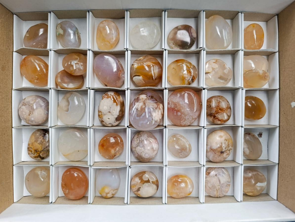 Polished Mini Wire Wrap Flower Agate Free Forms x 35 From Antsahalova, Madagascar - Toprock Gemstones and Minerals 