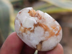 Polished Mini Wire Wrap Flower Agate Free Forms x 35 From Antsahalova, Madagascar - Toprock Gemstones and Minerals 