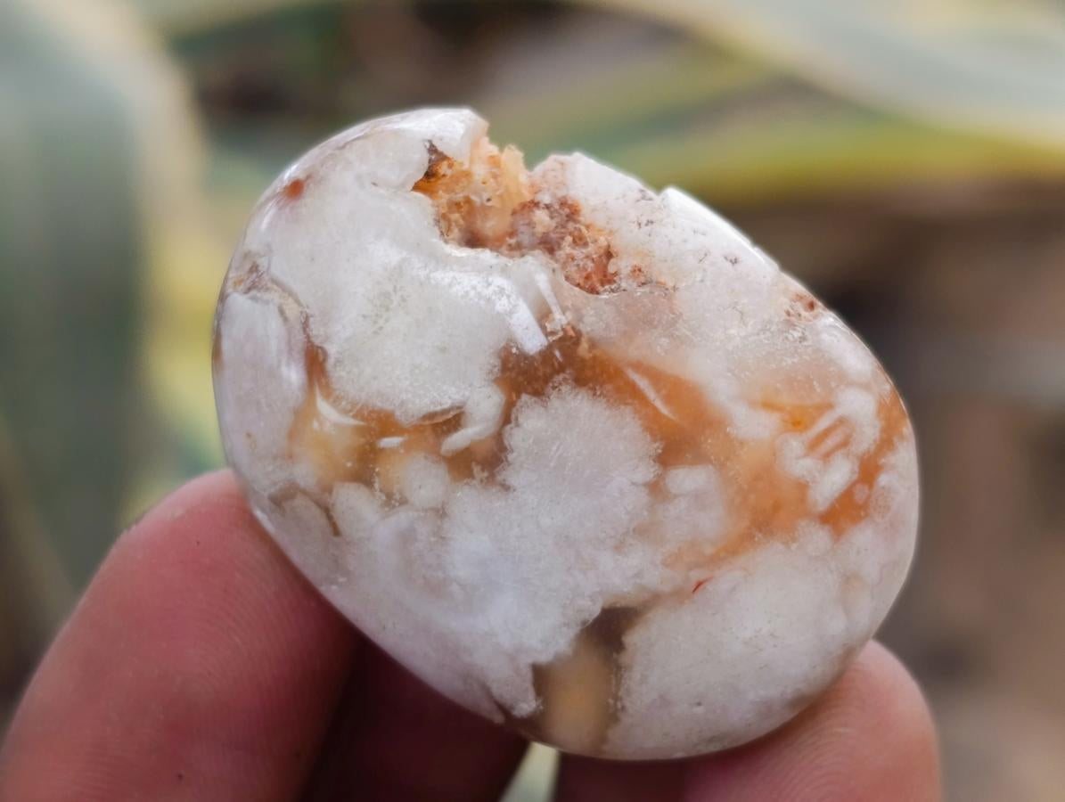 Polished Mini Wire Wrap Flower Agate Free Forms x 35 From Antsahalova, Madagascar - Toprock Gemstones and Minerals 