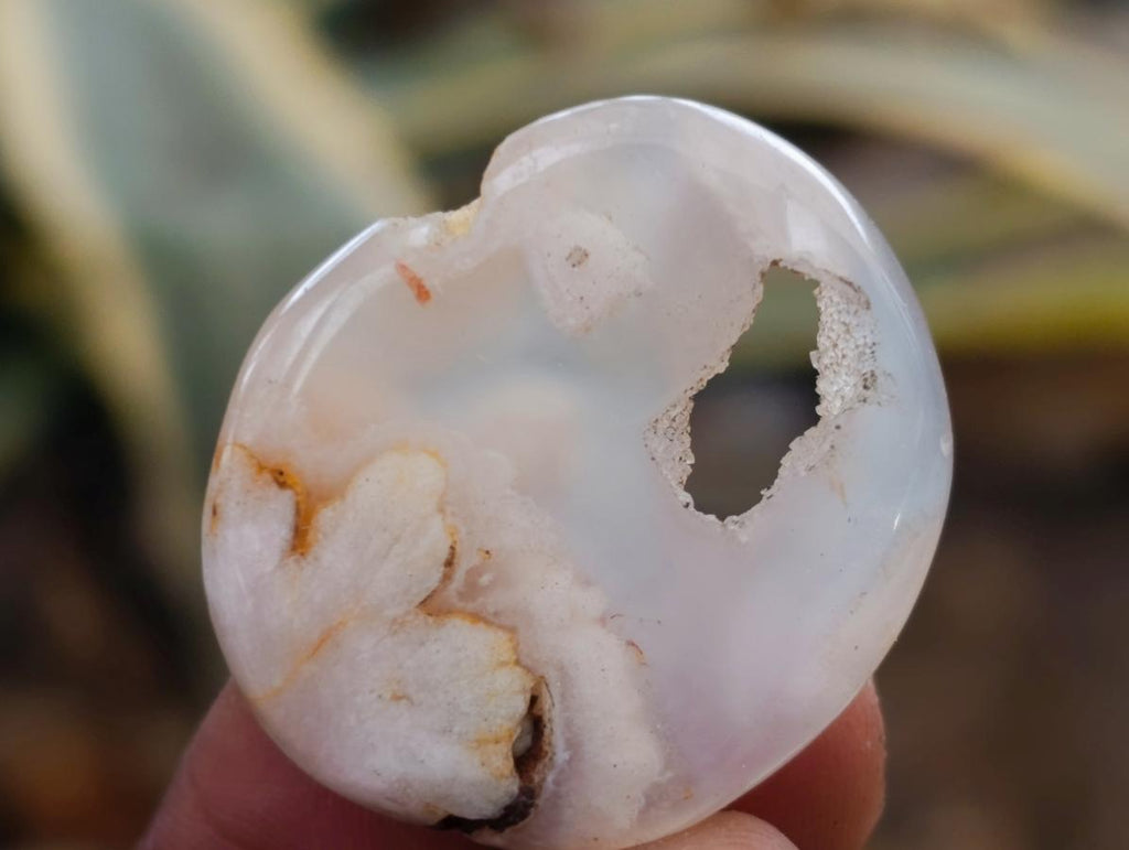Polished Mini Wire Wrap Flower Agate Free Forms x 35 From Antsahalova, Madagascar - Toprock Gemstones and Minerals 