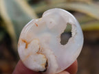 Polished Mini Wire Wrap Flower Agate Free Forms x 35 From Antsahalova, Madagascar - Toprock Gemstones and Minerals 