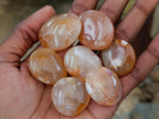 Polished Mini Wire Wrap Flower Agate Free Forms x 35 From Antsahalova, Madagascar - Toprock Gemstones and Minerals 
