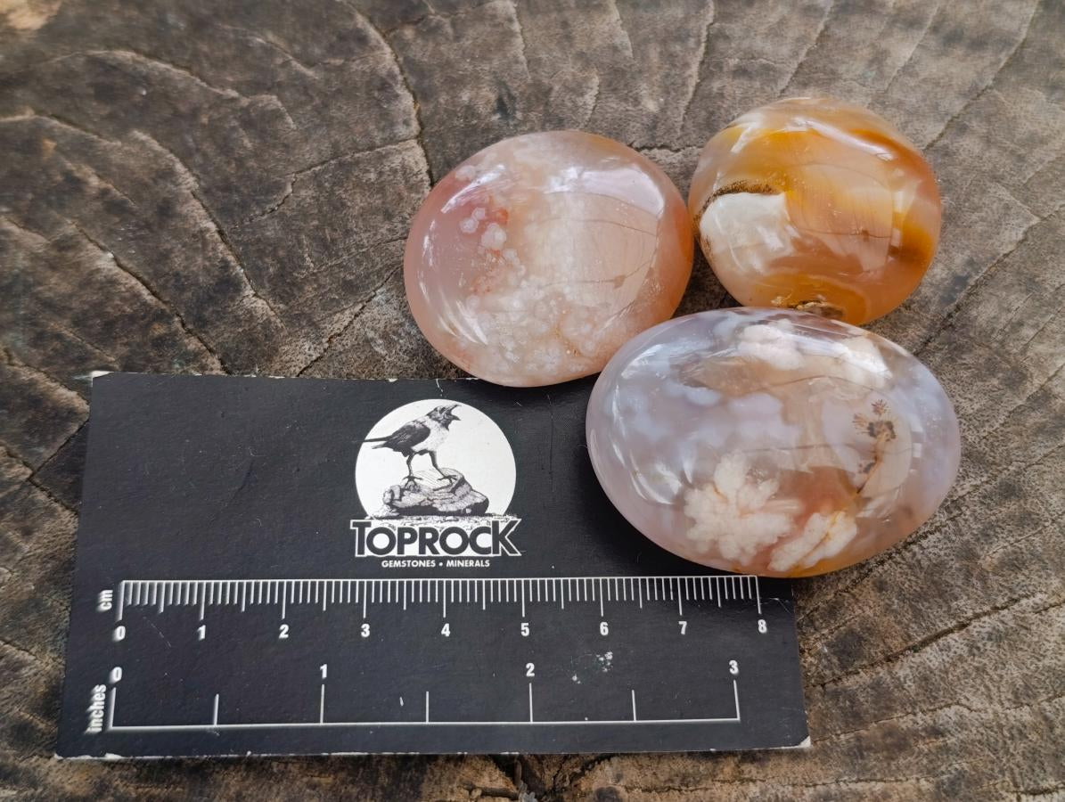 Polished Mini Wire Wrap Flower Agate Free Forms x 35 From Antsahalova, Madagascar - Toprock Gemstones and Minerals 