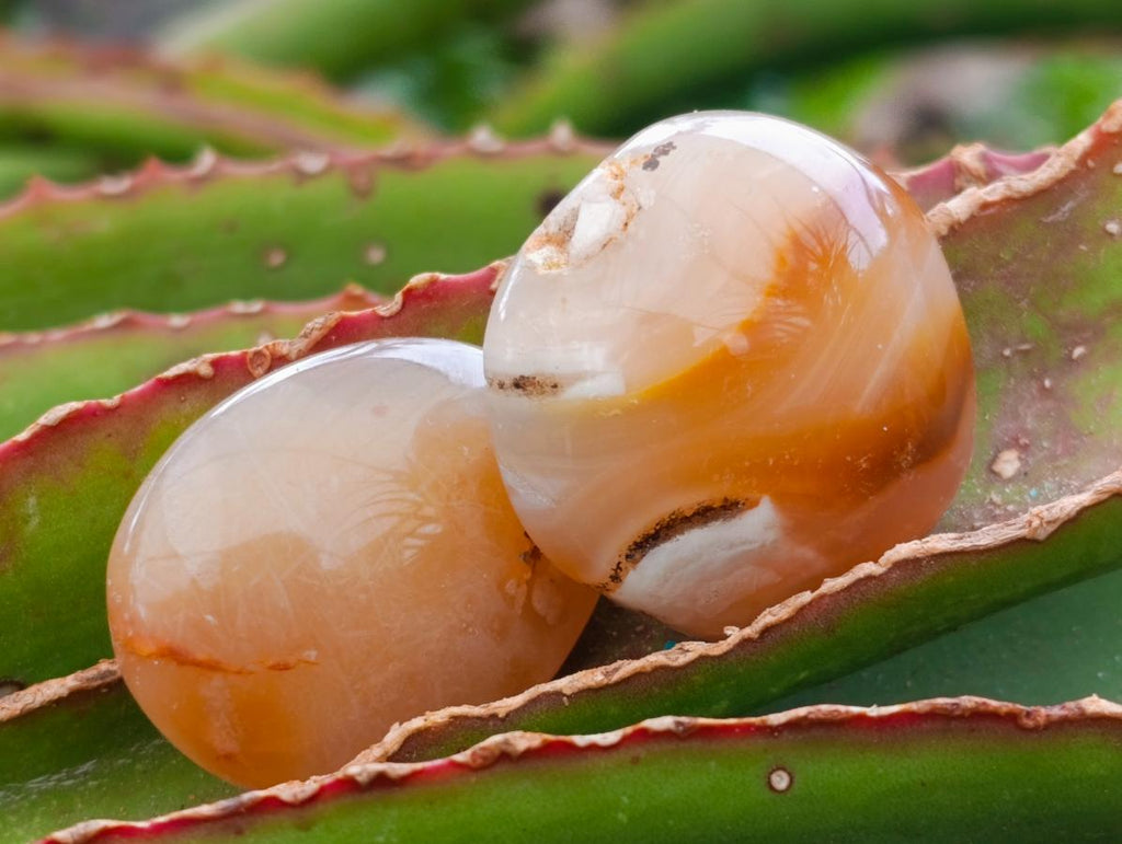 Polished Mini Wire Wrap Flower Agate Free Forms x 35 From Antsahalova, Madagascar - Toprock Gemstones and Minerals 